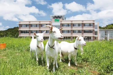 公立鳥取環境大学イメージ