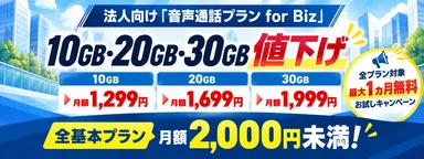 音声通話プラン for Biz