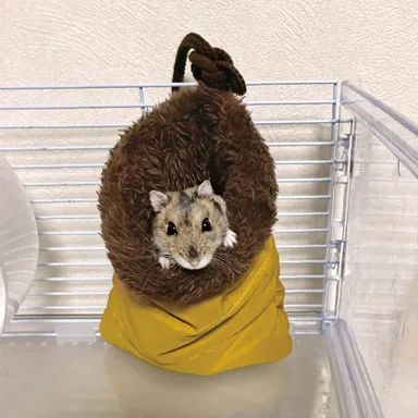 ひもで結んで