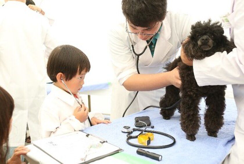 獣医師の仕事について知る!動物とふれあう!動物同伴OKイベント
「2026動物感謝デー in JAPAN “World Veterinary Day”」
2026年11月14日(土)開催