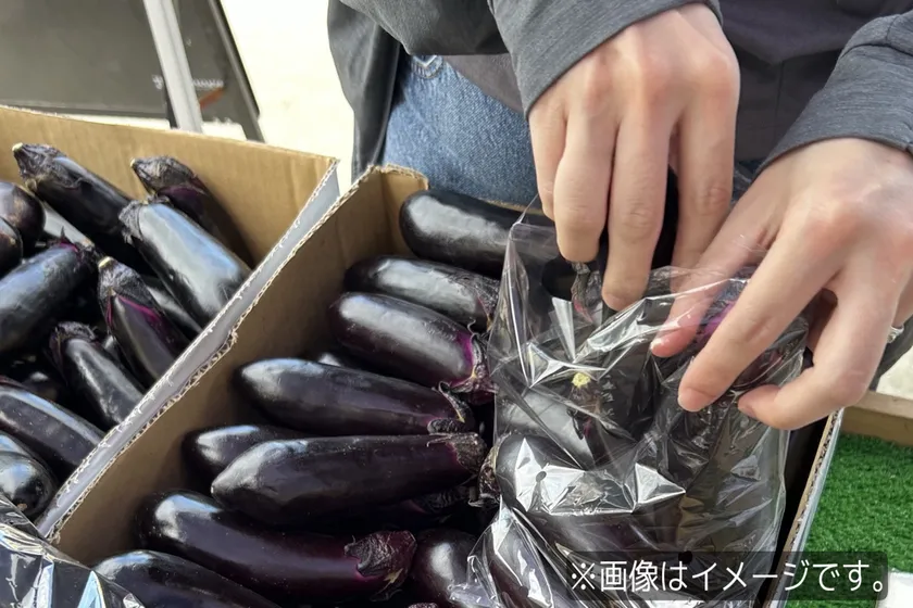 週末限定 野菜詰め放題