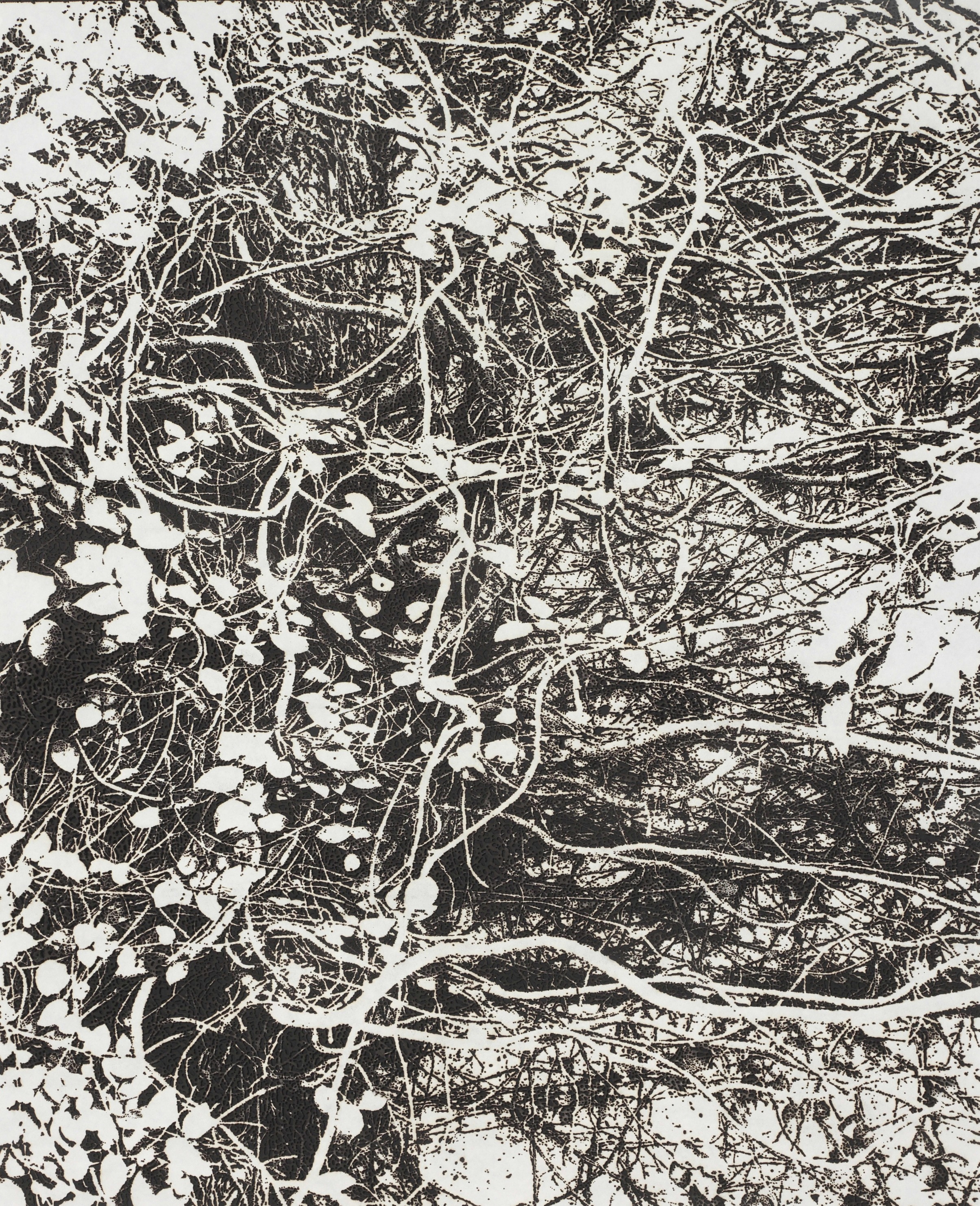 線香で画を描くアーティスト市川孝典、個展「FLEETING DAYS」 の開催が決定