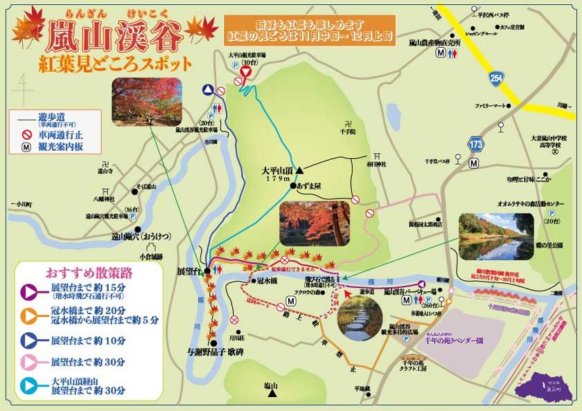 画像7