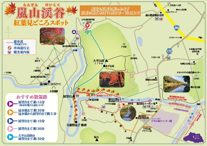 嵐山渓谷紅葉見どころスポット_迂回ルート