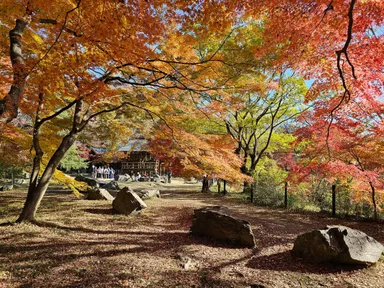 嵐山渓谷展望台