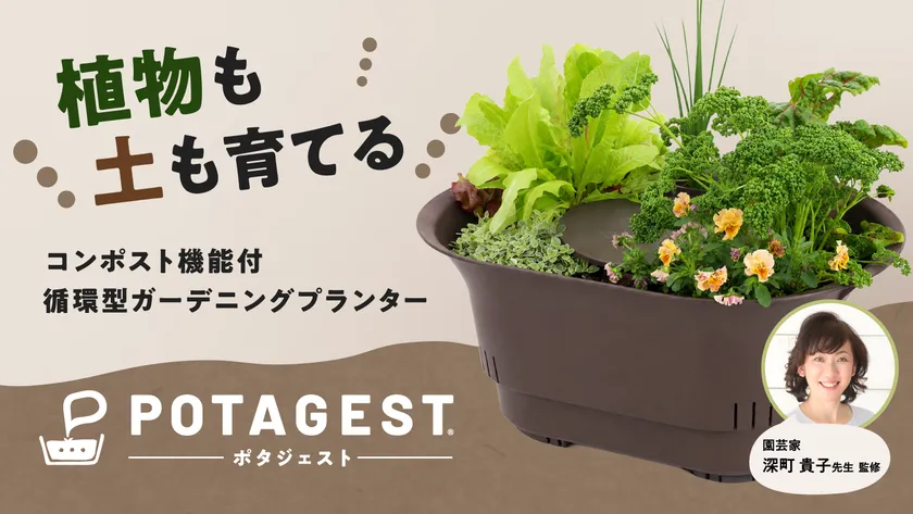 Makuakeサムネイル