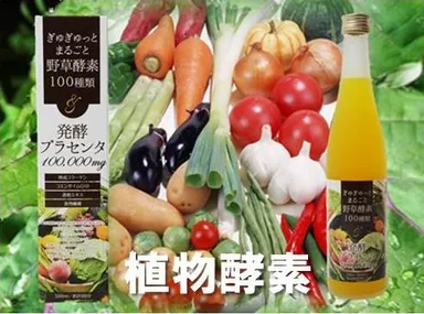 植物酵素 イメージ