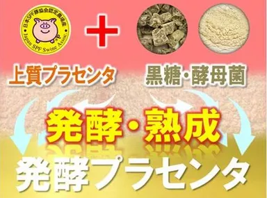 発酵プラセンタ イメージ