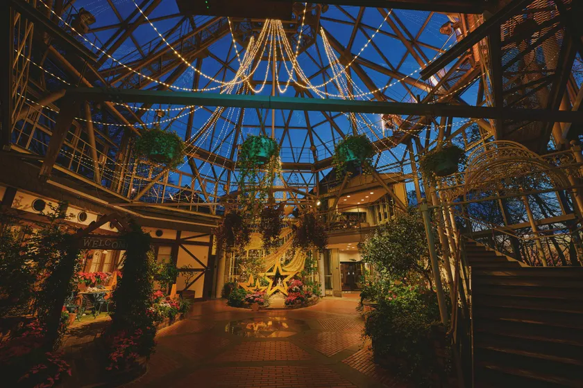 植物と光に包まれる夜のグラスハウス