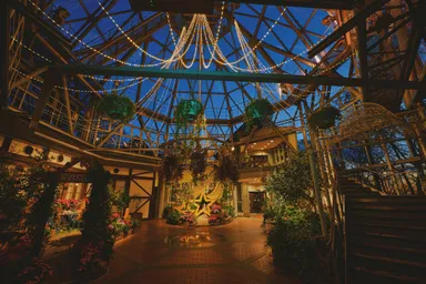 植物と光に包まれる夜のグラスハウス