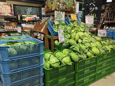 旬のお野菜をお得にゲット！