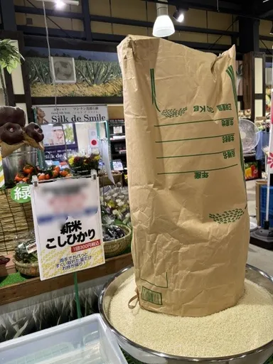 レンゲですくい取り・新米