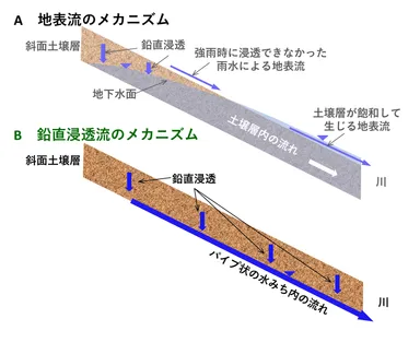 図1 山腹斜面における豪雨時の流出メカニズムの概念図　A：これまでの常識、B：本書による説明