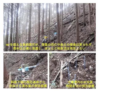 図3 急斜面試験地における流出メカニズムの観測状況