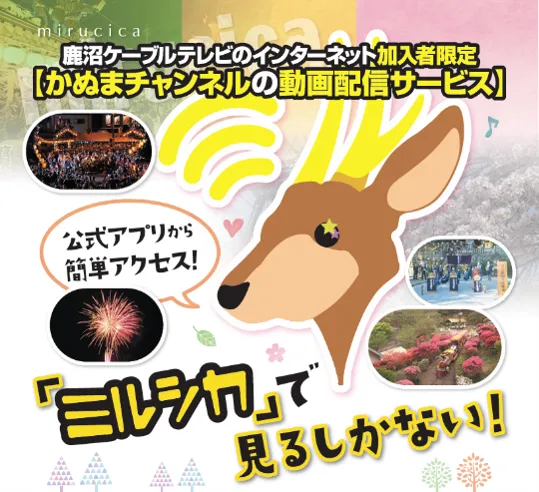 ミルシカについて1