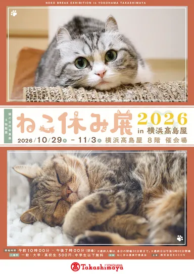 【ねこ休み展】キービジュアル(縦)