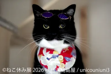 【ねこ休み展】展示作品：unicouniuni3