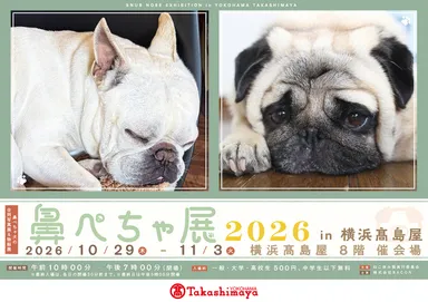 【鼻ぺちゃ展】【鼻ぺちゃ展】キービジュアル(横)