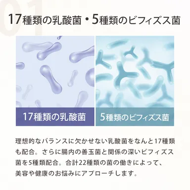 17種類の乳酸菌・5種類のビフィズス菌