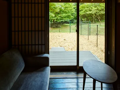 お好きなタイミングでお部屋からドッグランへ