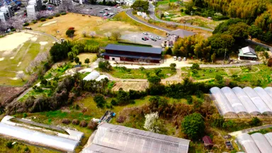 東浦町の約5,000坪の農地