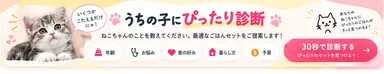 うちの子にぴったりのセットを選ぶ診断も