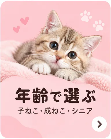 年齢で選ぶ