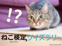 ねこ検定クイズラリー