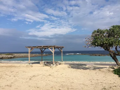 喜界島：内定者フォロープログラム