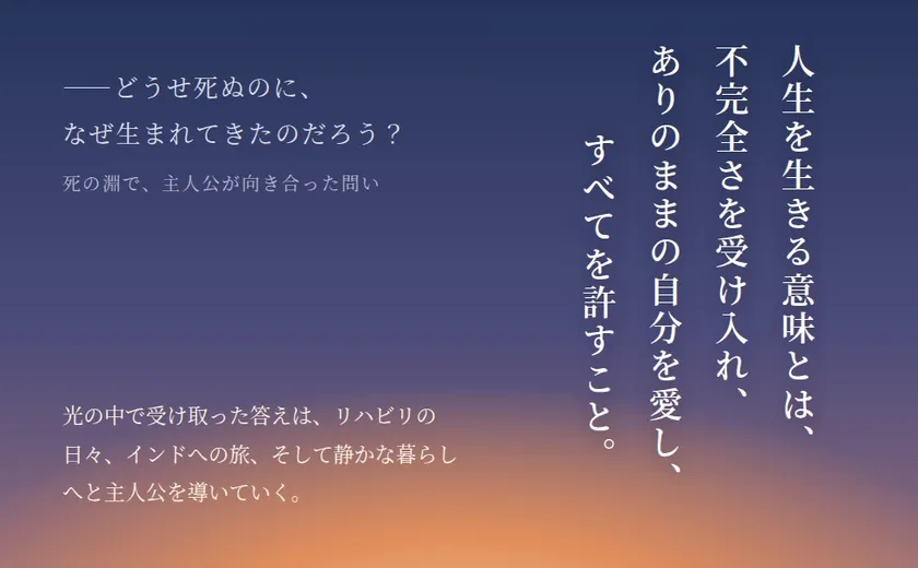 amazon A+(3)