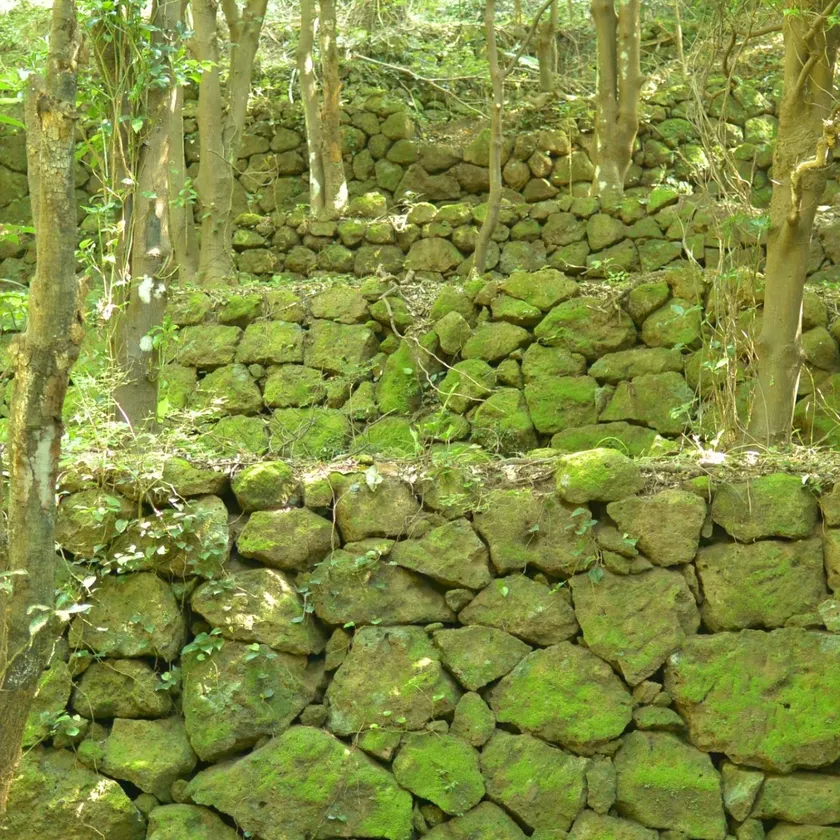 岩地コース石積