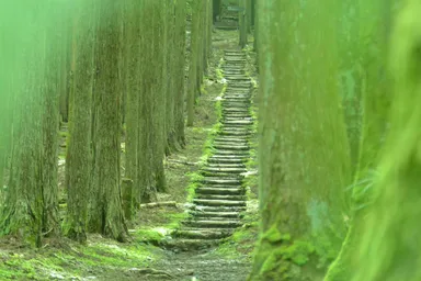 宝蔵院
