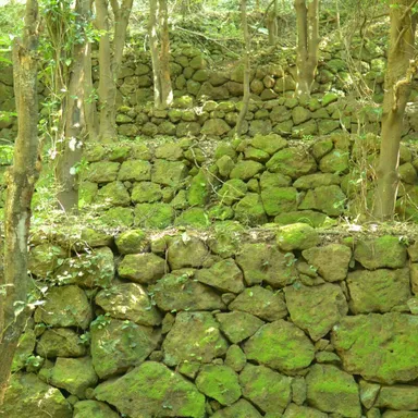 岩地コース石積