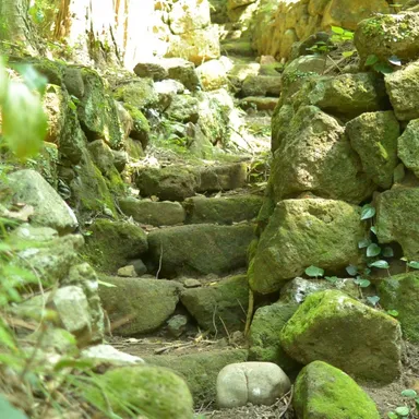 岩地コース石畳