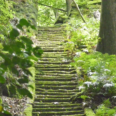 高野山コース階段