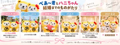 べあ～君とハニちゃん「結婚までのものがたり」年表