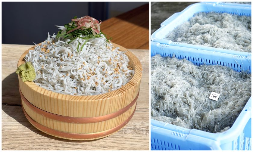 釜揚げしらすと磐田の新米を、お腹いっぱい。
「磐田市産・虹のきらめき」を使った新米食べ放題＆
釜揚げしらす増量サービスを期間限定で10/17,18の2日間で開催！