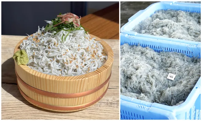 釜揚げしらすと磐田の新米を、お腹いっぱい。
「磐田市産・虹のきらめき」を使った新米食べ放題＆
釜揚げしらす増量サービスを期間限定で10/17,18の2日間で開催！