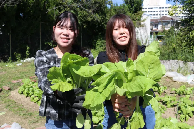 四天王寺大学×道明寺麦酒、「大阪しろな」を使った
クラフトビール「大阪しろなエール」を11月3日・14日に限定販売