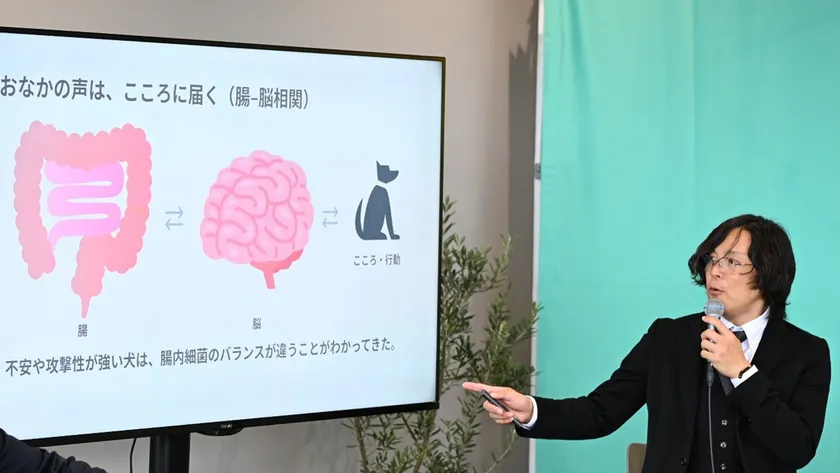 栃尾さんが紹介したのは、腸と脳が互いに影響し合う「腸脳相関」という考え方