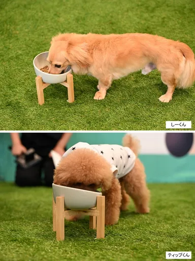 しーくんとティップくんの実食撮影の時間も設けられました