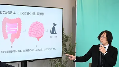栃尾さんが紹介したのは、腸と脳が互いに影響し合う「腸脳相関」という考え方