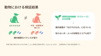 動物における行動検証