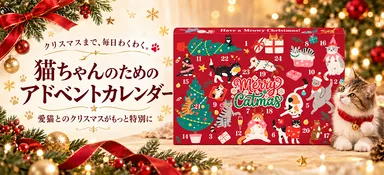 猫用アドベントカレンダー