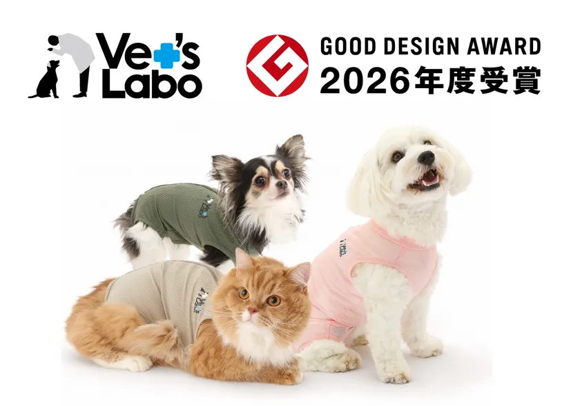 術後や治療中も、犬猫の「いつも通り」を支えるベッツウェア