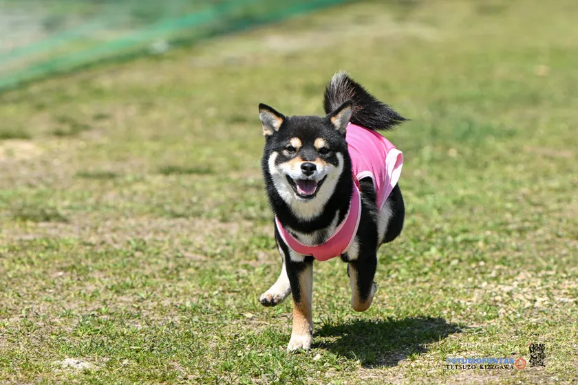 ママはゴールで待ってるよ