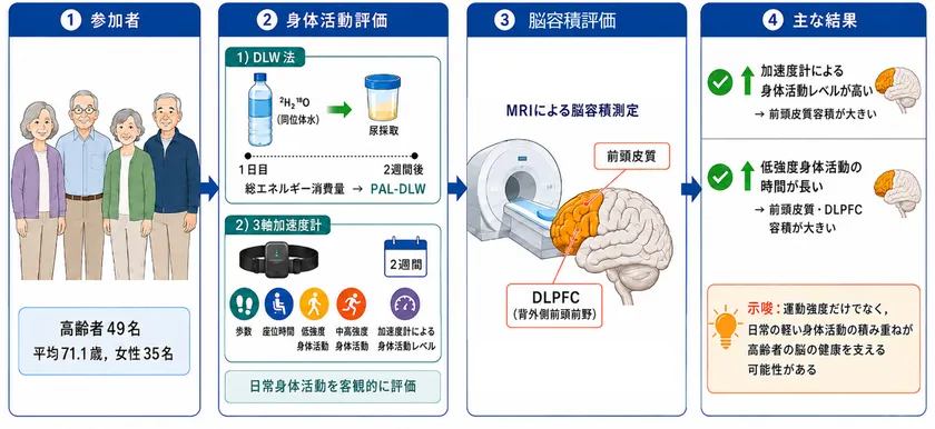 研究の概要