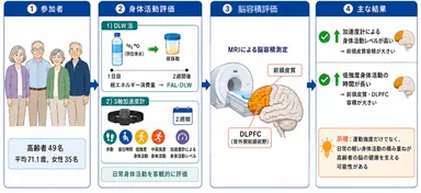 研究の概要