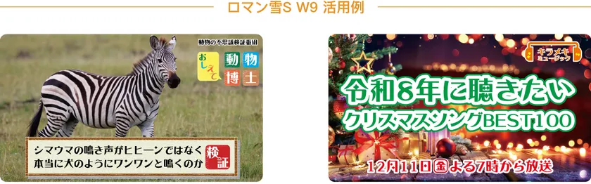 ダイナフォント「ロマン雪S活用例」