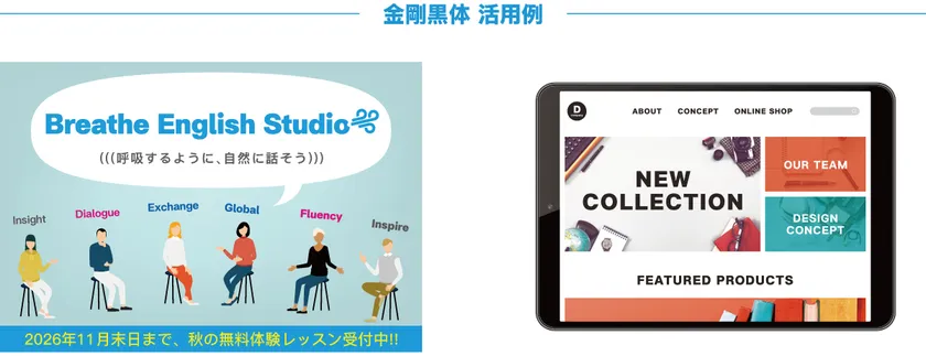 ダイナフォント「金剛黒体12ウエイト活用例」